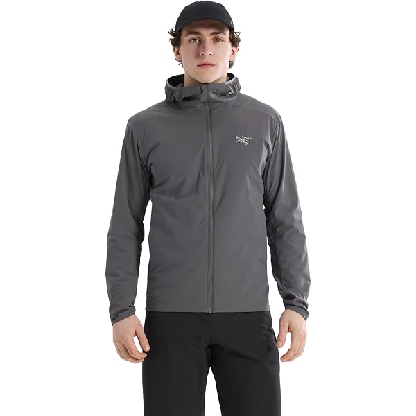 Amazon.co.jp: ARC'TERYX(アークテリクス) Proton FL Hoody Men's